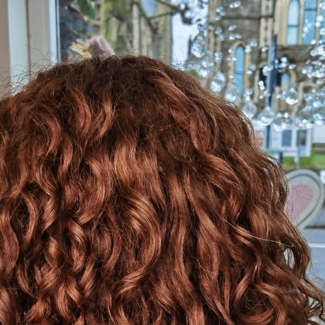 Long copper curls from behind after a curly cut and blow-dry